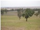 Kalinga Kingsvale Road, Young NSW 2594