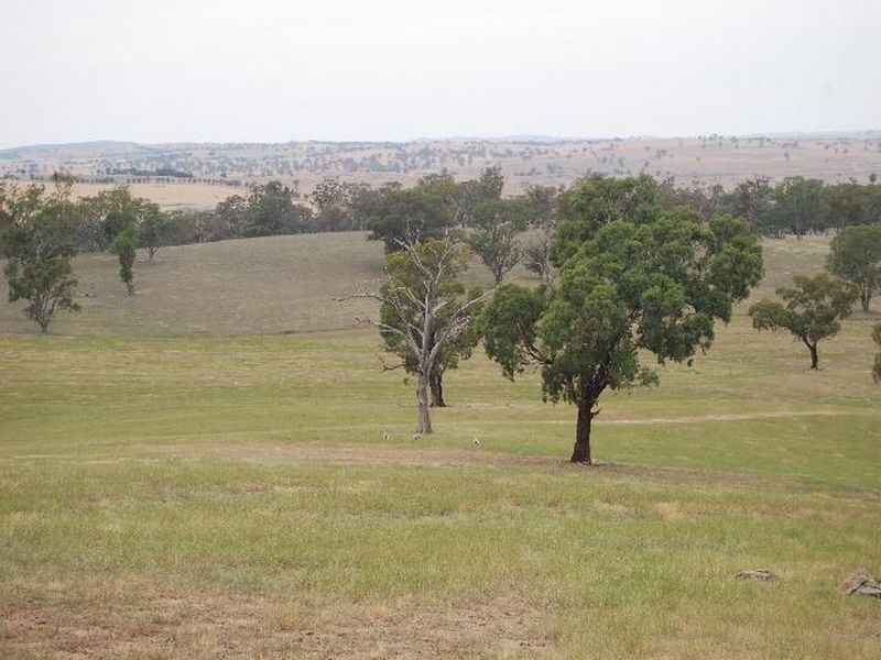 Kalinga Kingsvale Road, Young NSW 2594