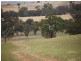 Kalinga Kingsvale Road, Young NSW 2594