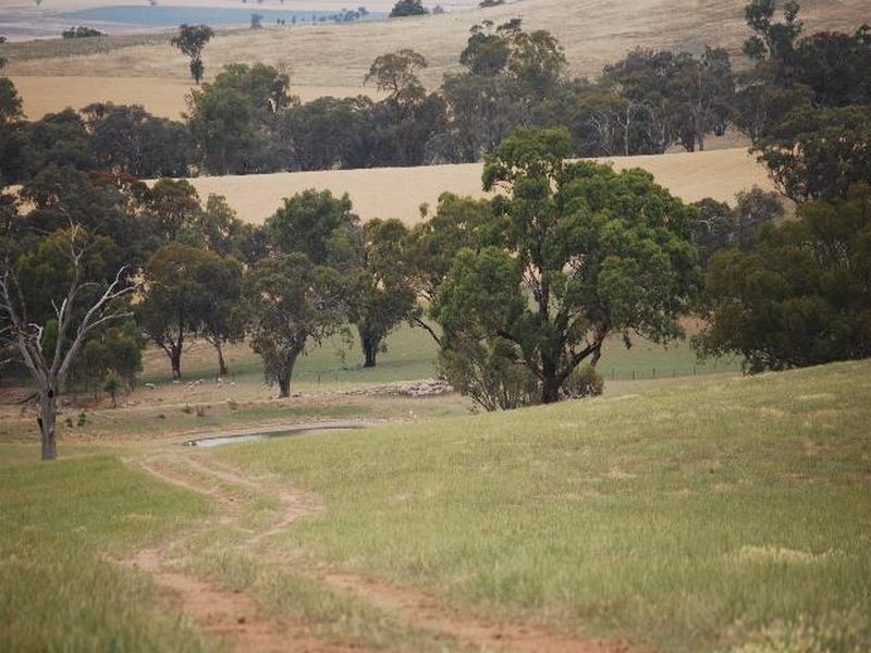 Kalinga Kingsvale Road, Young NSW 2594