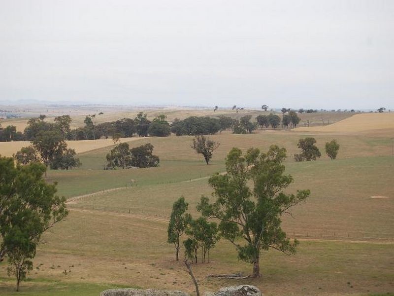 Kalinga Kingsvale Road, Young NSW 2594