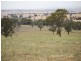 Kalinga Kingsvale Road, Young NSW 2594