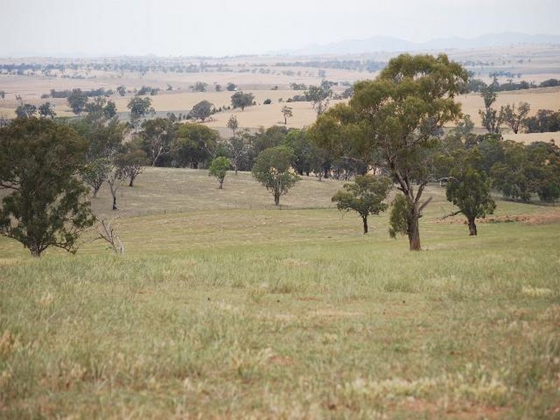 Kalinga Kingsvale Road, Young NSW 2594