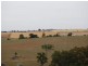 Kalinga Kingsvale Road, Young NSW 2594