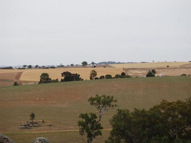 Kalinga Kingsvale Road, Young NSW 2594