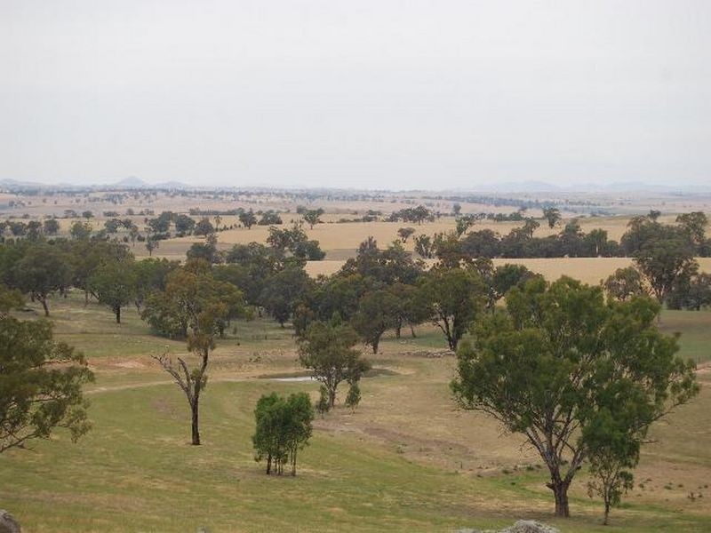 Kalinga Kingsvale Road, Young NSW 2594