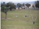 Kalinga Kingsvale Road, Young NSW 2594