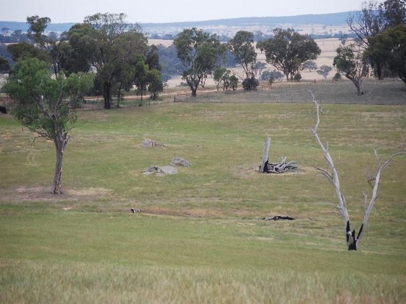 Kalinga Kingsvale Road, Young NSW 2594