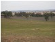 Kalinga Kingsvale Road, Young NSW 2594