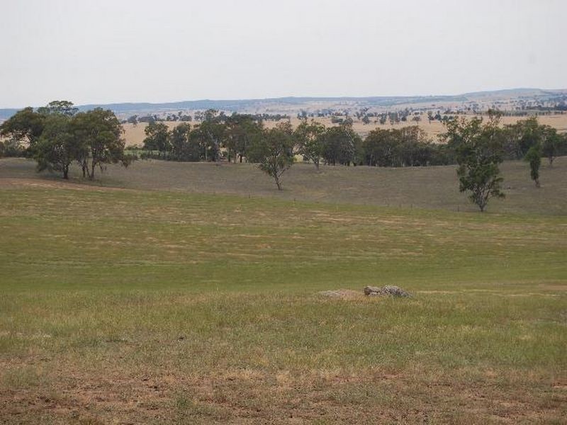 Kalinga Kingsvale Road, Young NSW 2594