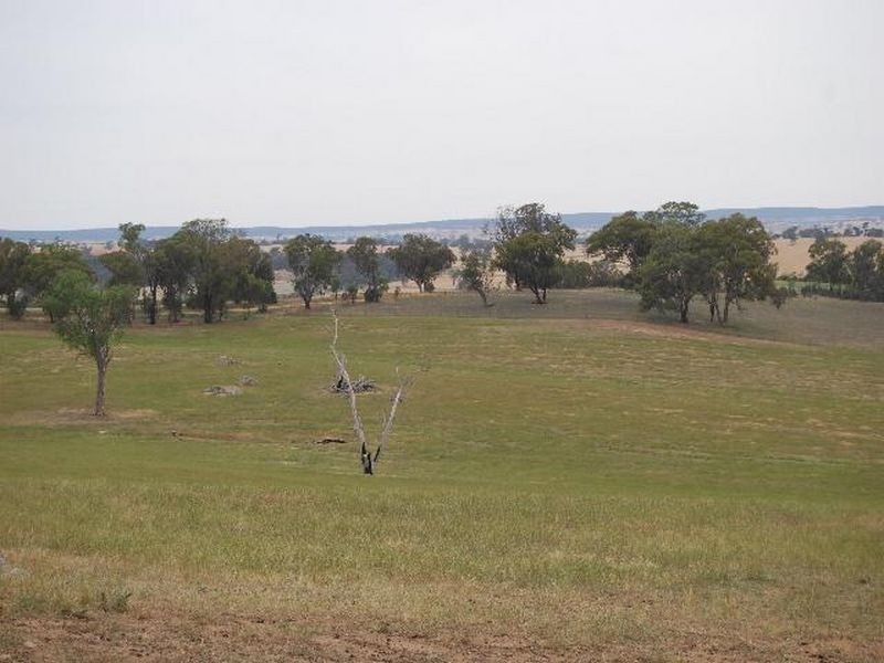 Kalinga Kingsvale Road, Young NSW 2594