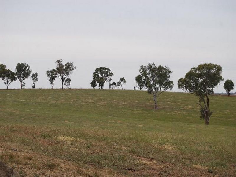 Kalinga Kingsvale Road, Young NSW 2594
