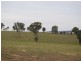 Kalinga Kingsvale Road, Young NSW 2594