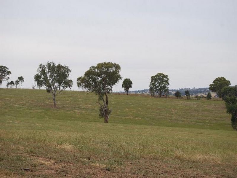 Kalinga Kingsvale Road, Young NSW 2594