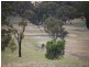 Kalinga Kingsvale Road, Young NSW 2594