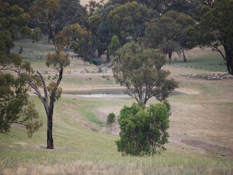 Kalinga Kingsvale Road, Young NSW 2594