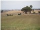 Kalinga Kingsvale Road, Young NSW 2594