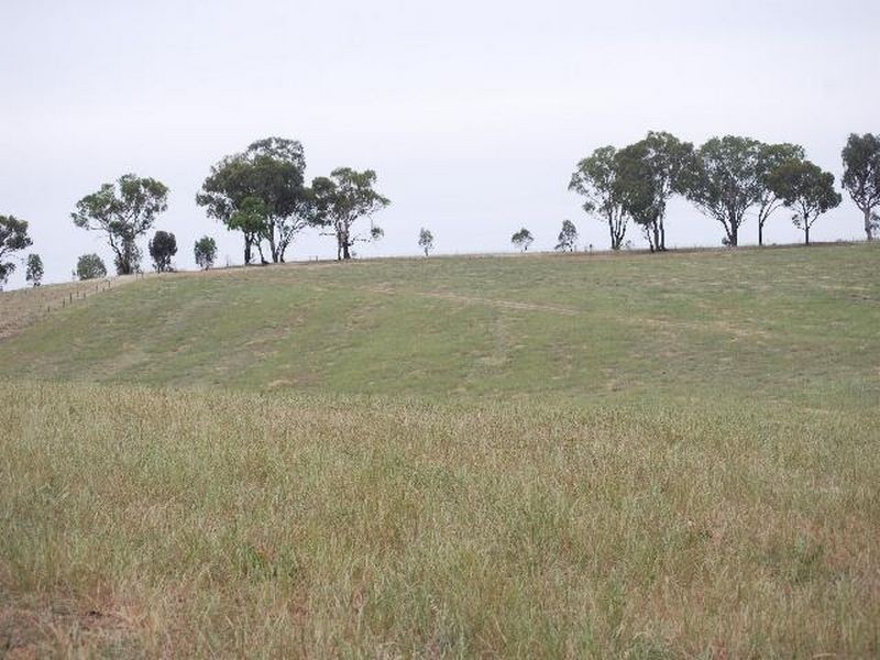 Kalinga Kingsvale Road, Young NSW 2594