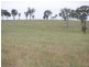 Kalinga Kingsvale Road, Young NSW 2594