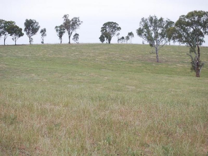 Kalinga Kingsvale Road, Young NSW 2594