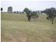 Kalinga Kingsvale Road, Young NSW 2594