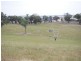 Kalinga Kingsvale Road, Young NSW 2594