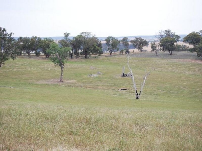 Kalinga Kingsvale Road, Young NSW 2594