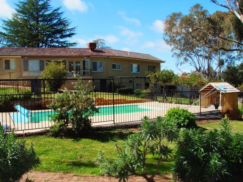 37 Elizabeth Street, Young NSW 2594