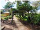 37 Elizabeth Street, Young NSW 2594