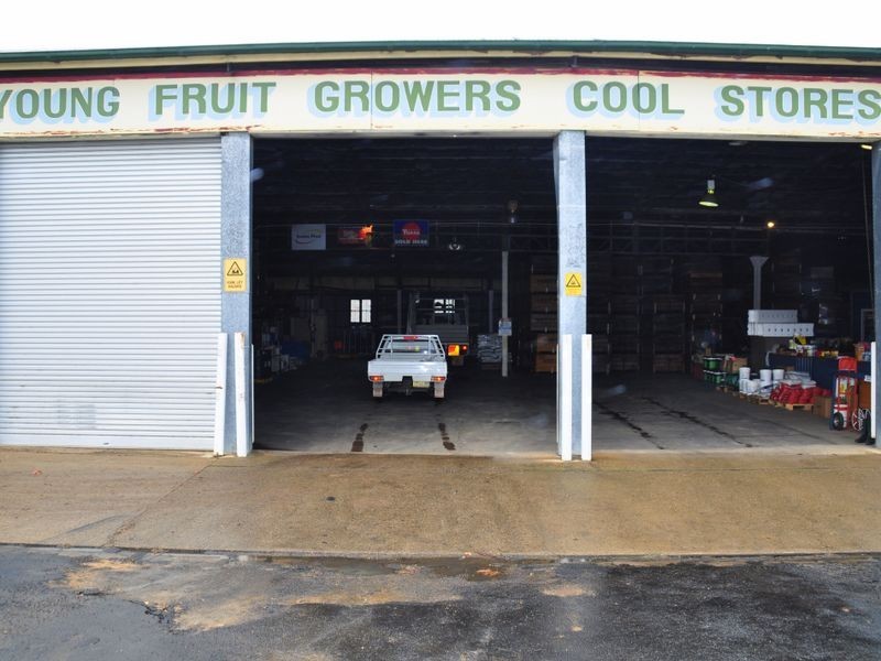 154 Nasmyth Street, Young NSW 2594