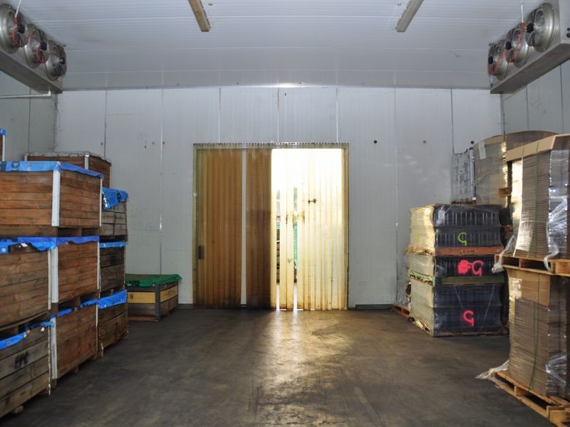 154 Nasmyth Street, Young NSW 2594