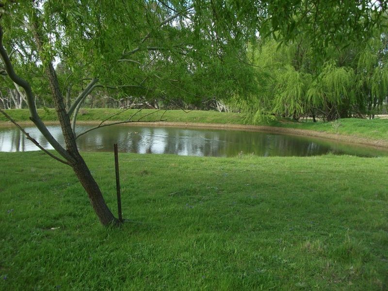 3944 Murringo Rd, Young NSW 2594