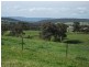 3944 Murringo Rd, Young NSW 2594