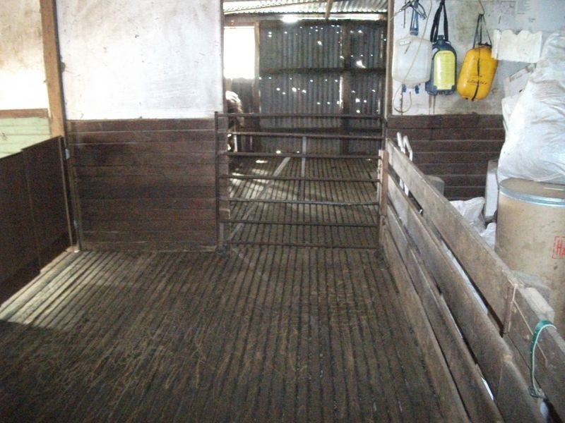 3944 Murringo Rd, Young NSW 2594