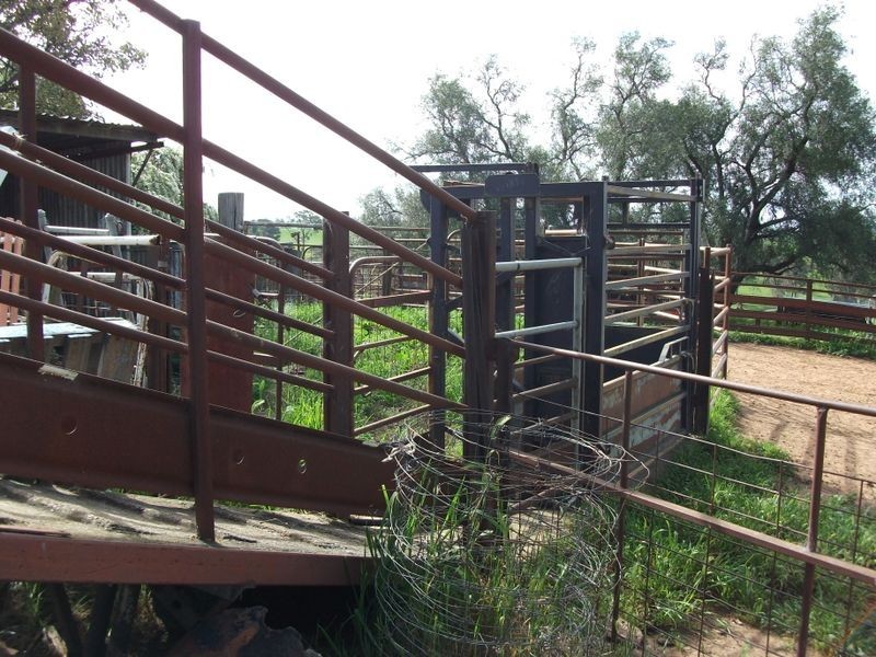 3944 Murringo Rd, Young NSW 2594