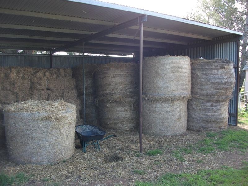 3944 Murringo Rd, Young NSW 2594