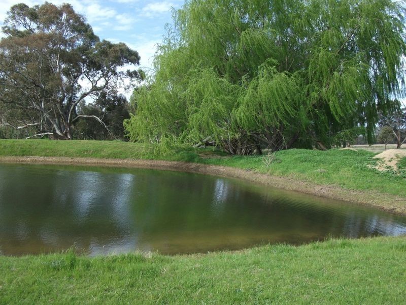 3944 Murringo Rd, Young NSW 2594