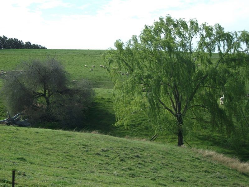 3944 Murringo Rd, Young NSW 2594