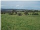 3944 Murringo Rd, Young NSW 2594