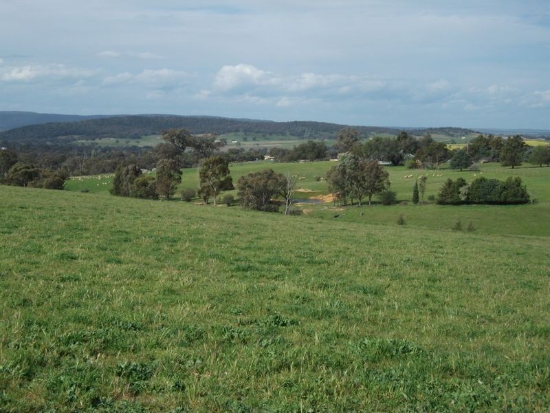 3944 Murringo Rd, Young NSW 2594