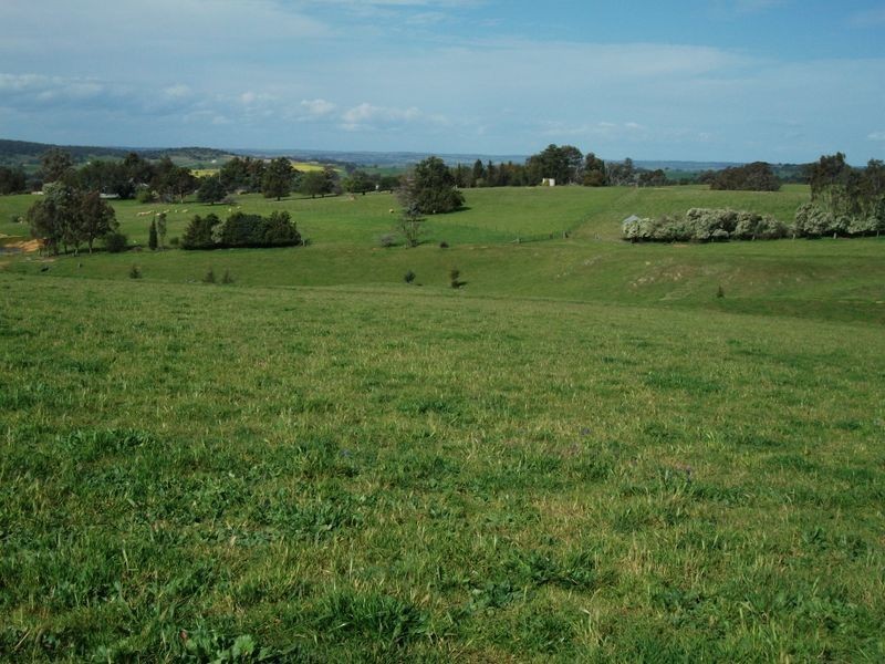 3944 Murringo Rd, Young NSW 2594