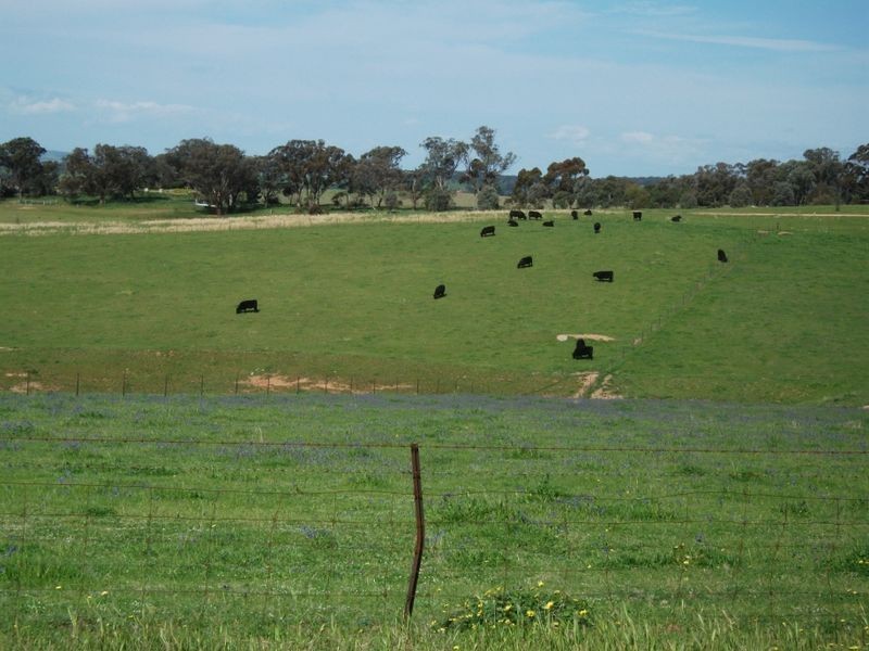 3944 Murringo Rd, Young NSW 2594