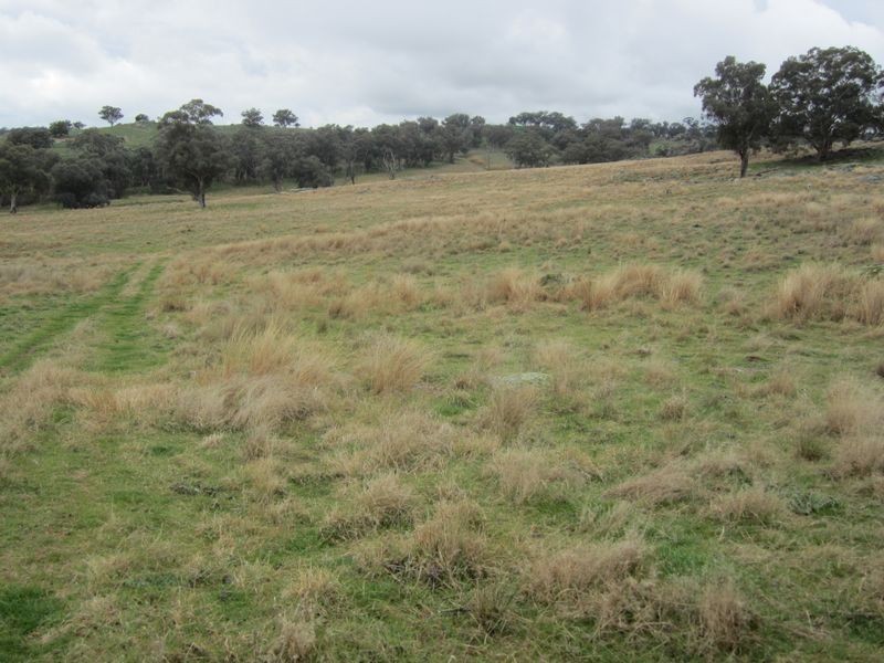 625 Tubbul Road, Young NSW 2594