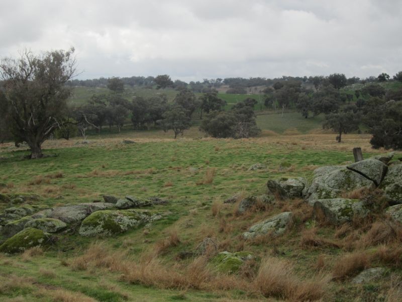 625 Tubbul Road, Young NSW 2594