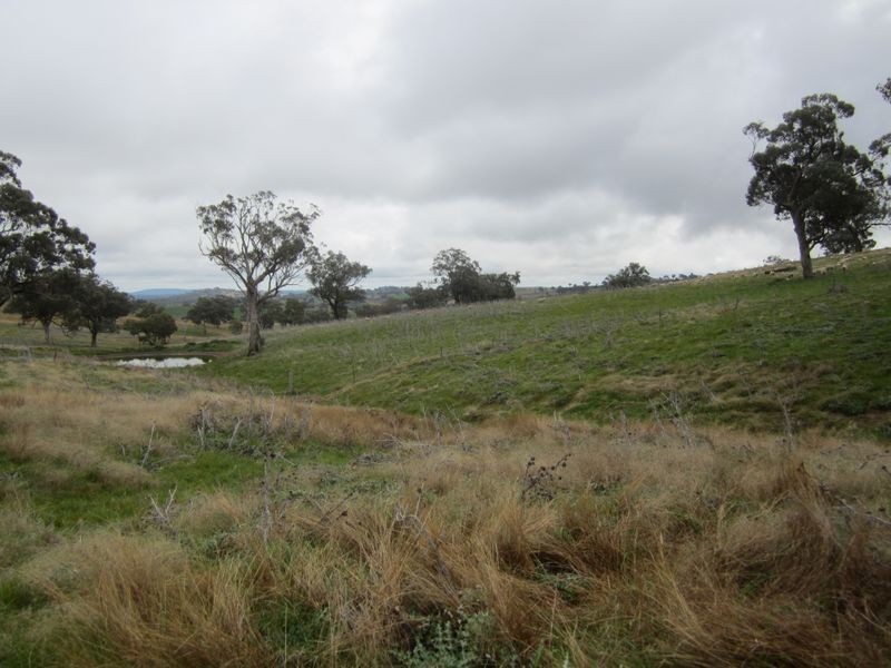 625 Tubbul Road, Young NSW 2594