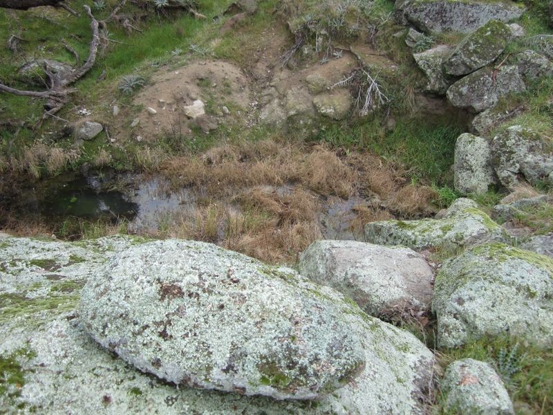 625 Tubbul Road, Young NSW 2594