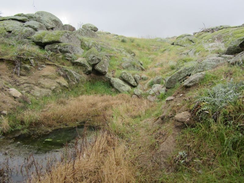 625 Tubbul Road, Young NSW 2594