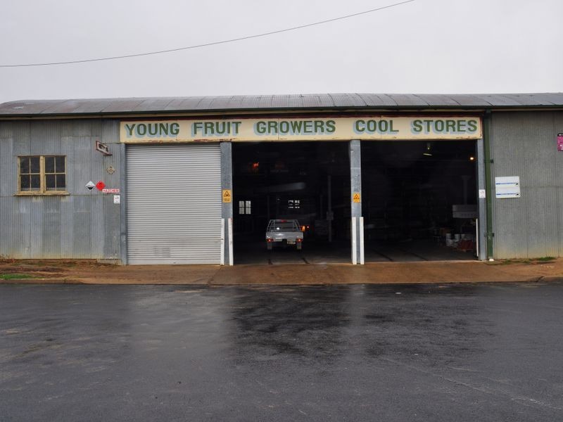 156 Nasmyth Street, Young NSW 2594