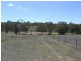 4403 Wombat Road, Young NSW 2594