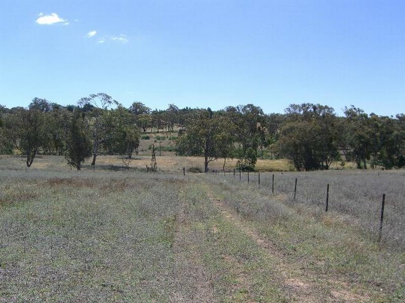 4403 Wombat Road, Young NSW 2594
